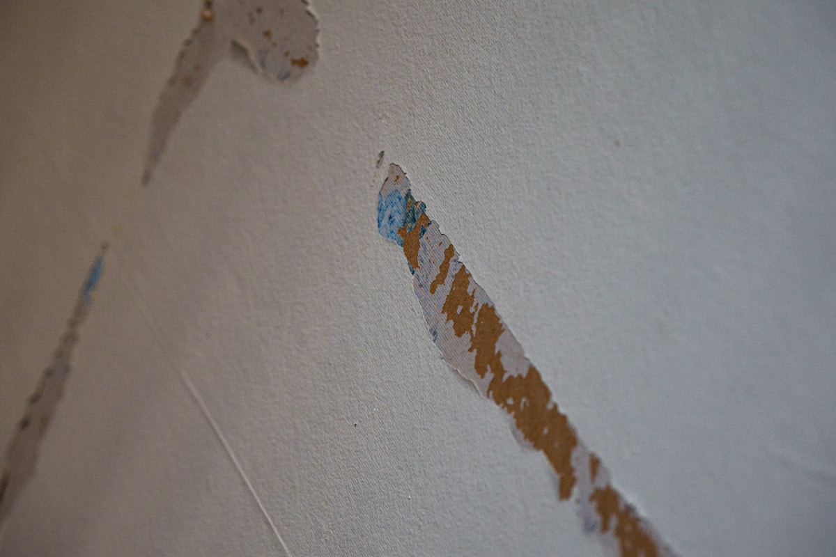 Flood Cleanup service in Blue Springs, MO